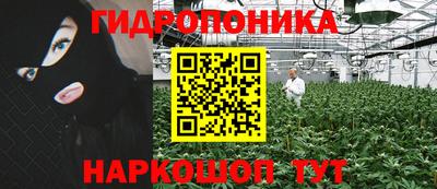 крисы Малоярославец