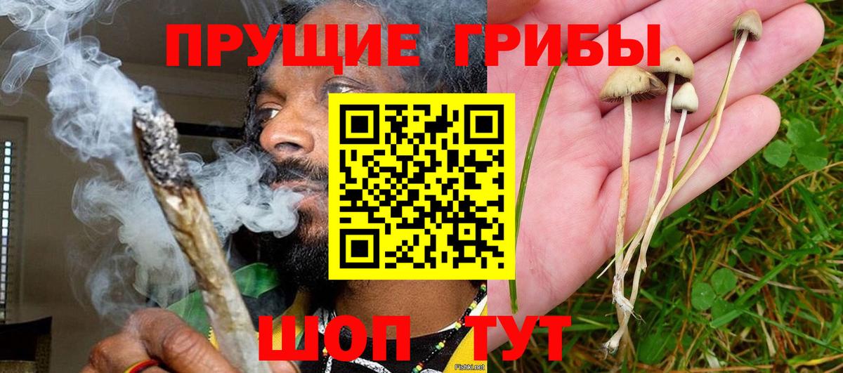 Галлюциногенные грибы прущие грибы Гурьевск